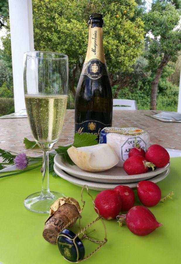Quinta Villa Arrabida Vila Fresca Eksteriør bilde